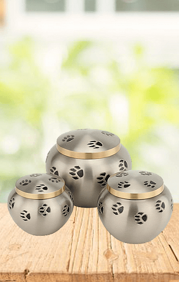 Odyssey Urns